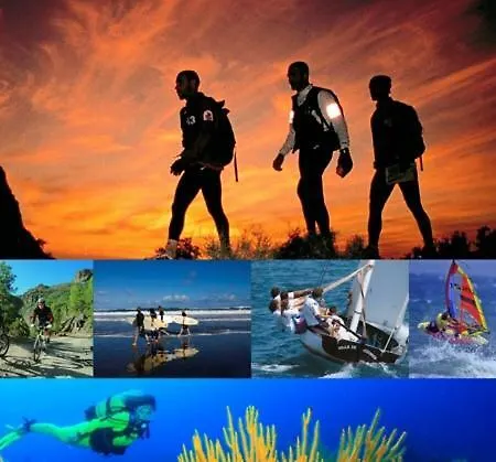 Romantica * Los Palmitos