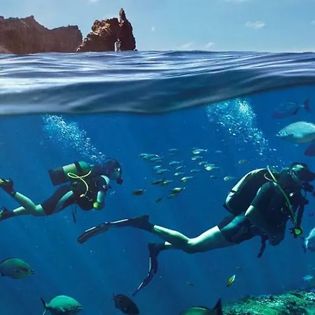 Romantica Los Palmitos