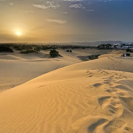 Romantica * Los Palmitos