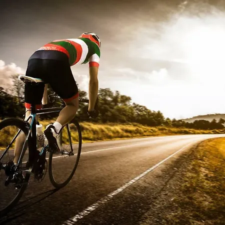 Romantica Los Palmitos